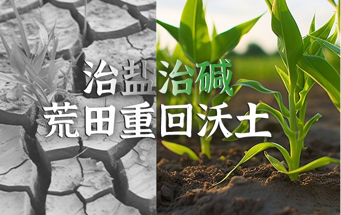 盐碱地改良